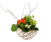 Композиция № 102