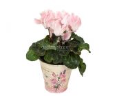 Композиция № 104