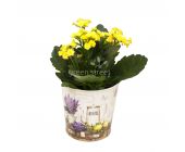 Композиция № 105