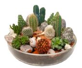 Композиция № 13