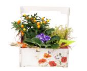 Композиция № 151