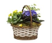 Композиция № 157