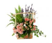 Композиция № 85