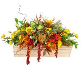 Искусственная композиция 143