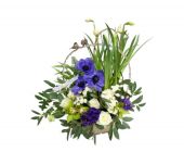 Композиция 289